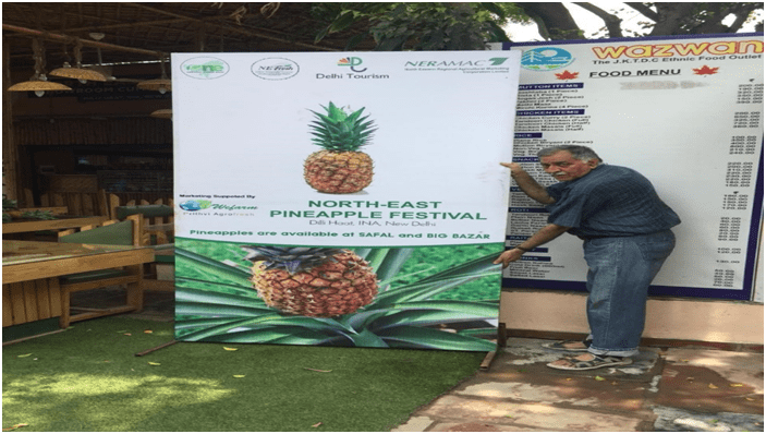 Queen Pineapple Festival in Dilli Haat, 14th to 16th July 2018