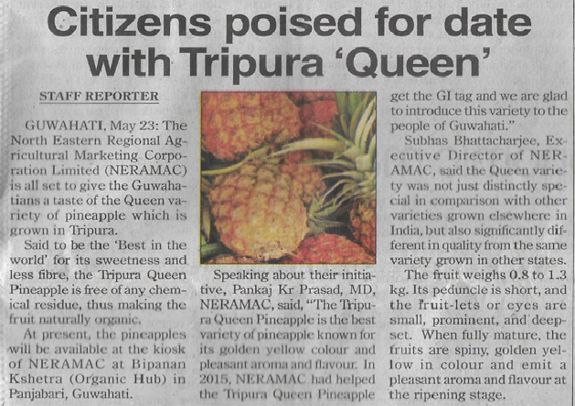 Tripura Queen Pineapple Festival in Guwahati, Assam, May 2018