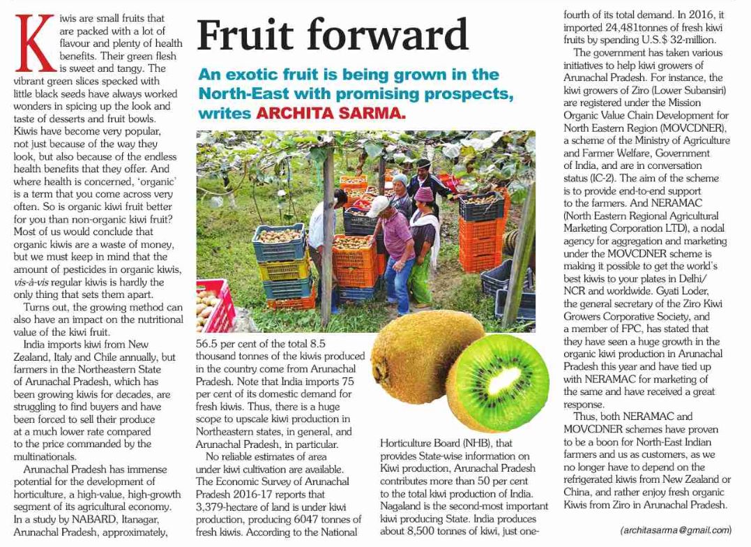 An article on Kiwi from Arunachal Pradesh on The Assam Tribune dated 16-12-2018