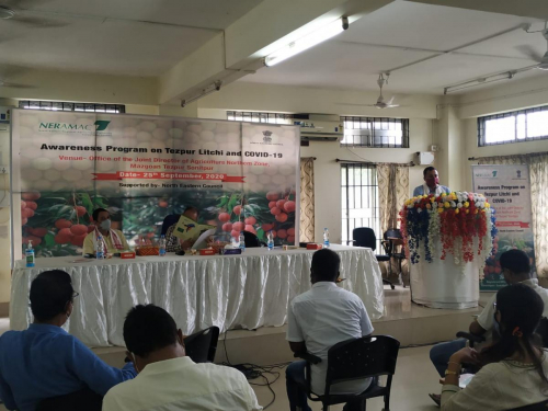 Awareness program on Tezpur Litchi & Covid -19 at Mazgaon, Tezpur