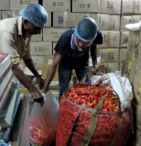 Procurement of King Chilli / Bhut Jolokia from the farmers of Upper Assam