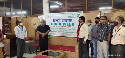 Hindi Week 2020