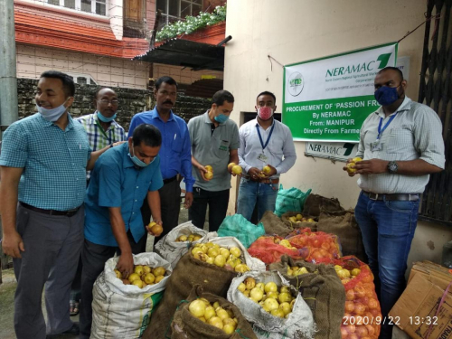 Procurement & Marketing of Passion Fruit directly from farm - Manipur