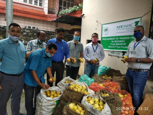 Procurement & Marketing of Passion Fruit directly from farm - Manipur