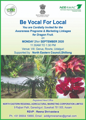 Be Vocal For Local - Dragon Fruit